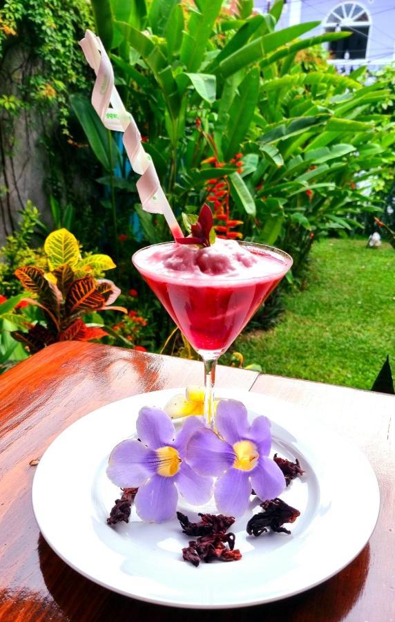 Amina Inn Flores Bagian luar foto